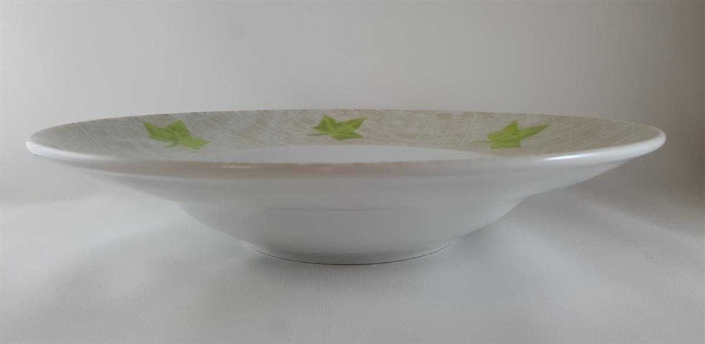[2118938] Speiseteller Pastateller 29,8 cm Thomas Porzellan Grün gebraucht - neuwertig Bild 3