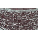 [458127961] Schale 10,7 cm Thomas Transparent gebraucht - sehr gut Bild 5