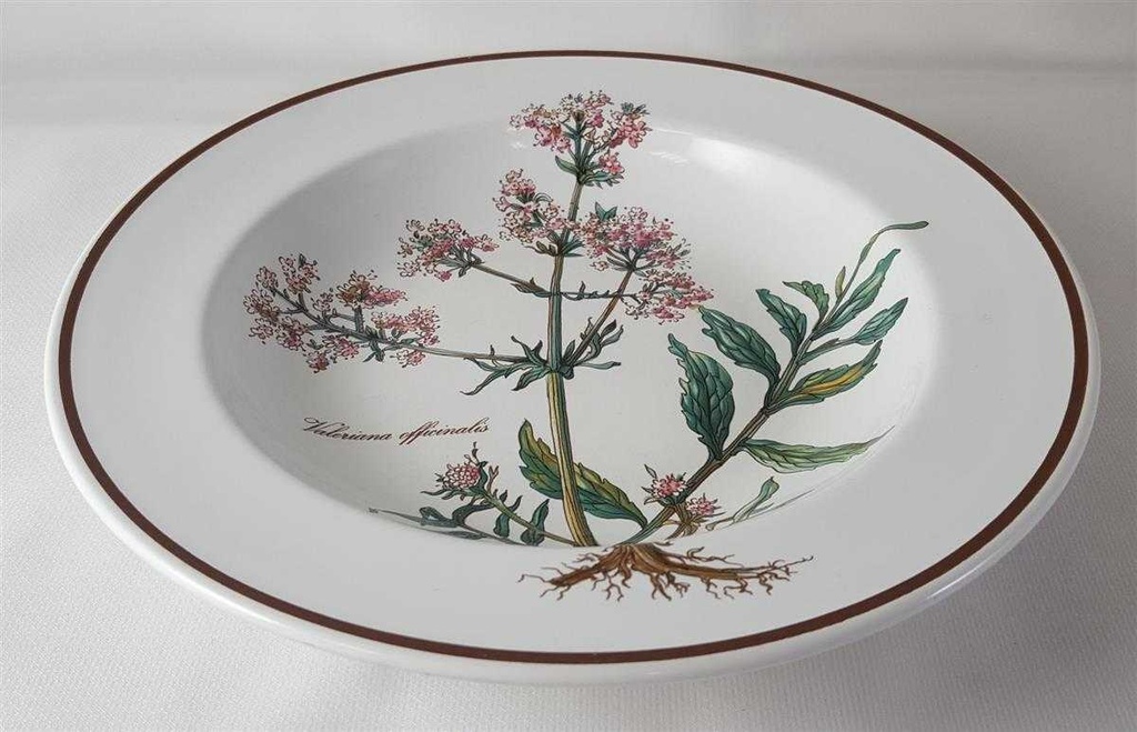 [45812830] Suppenteller 22,2 cm Villeroy & Boch Botanica gebraucht - gut Bild 3