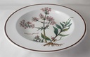 [45812830] Suppenteller 22,2 cm Villeroy & Boch Botanica gebraucht - gut Bild 3