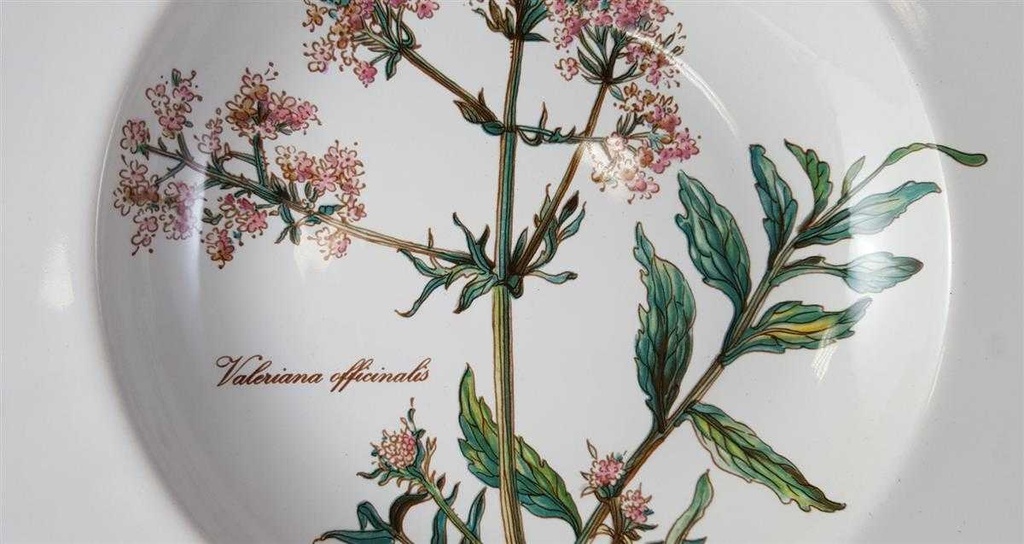 [45812832] Suppenteller 22,2 cm Villeroy & Boch Botanica gebraucht - sehr gut Bild 2