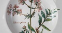 [45812832] Suppenteller 22,2 cm Villeroy & Boch Botanica gebraucht - sehr gut Bild 2