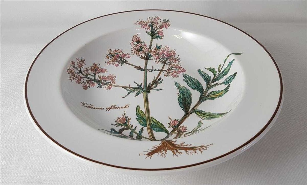 [45812832] Suppenteller 22,2 cm Villeroy & Boch Botanica gebraucht - sehr gut Bild 3