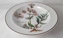 [45812832] Suppenteller 22,2 cm Villeroy & Boch Botanica gebraucht - sehr gut Bild 3