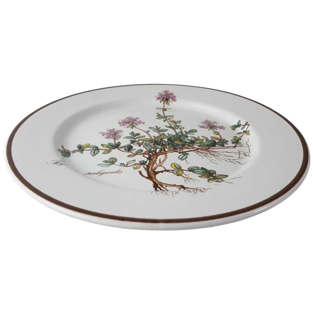 [45812836] Kuchenteller Dessertteller 21 cm Villeroy & Boch Botanica Bild 2