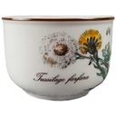 [45812842] Teetasse Tasse Villeroy & Boch Botanica gebraucht - sehr gut Bild 2