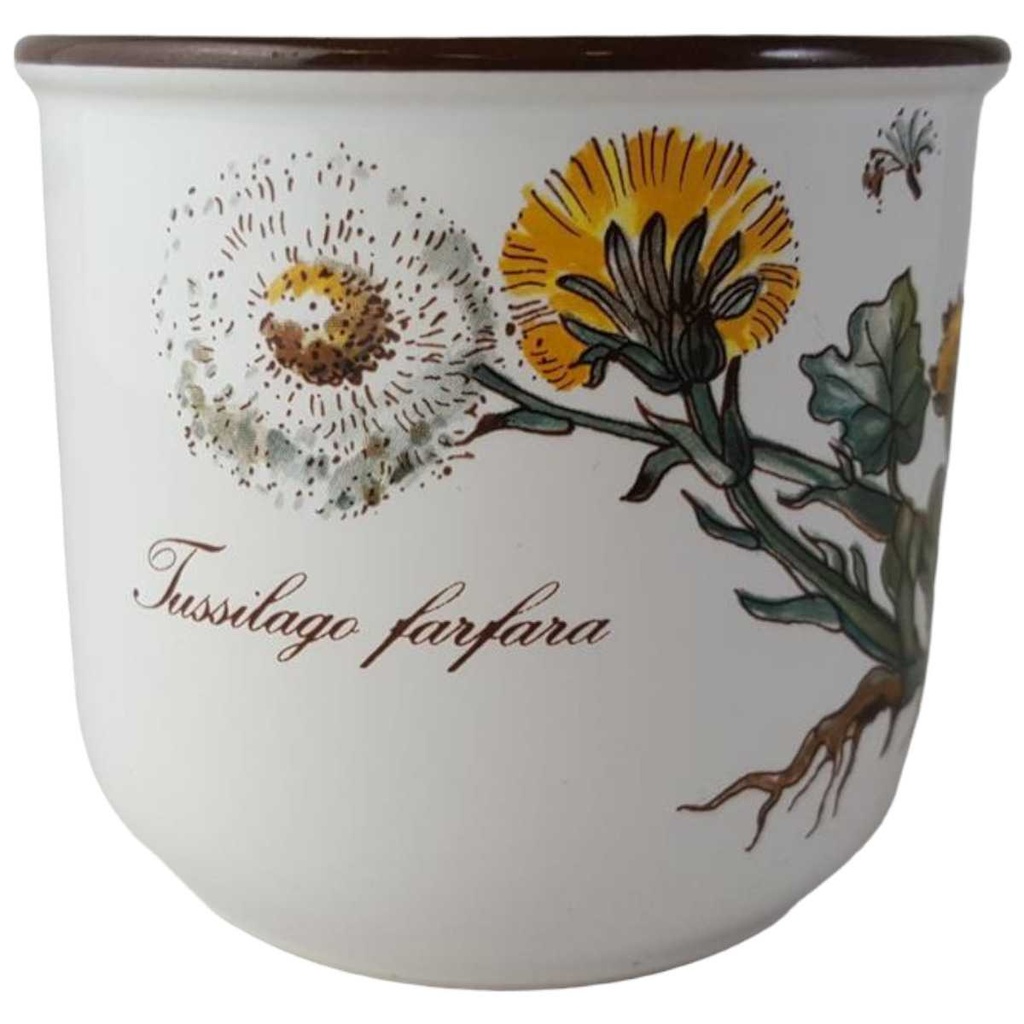 [45812848] Kaffeetasse Tasse Villeroy & Boch Botanica Bild 2