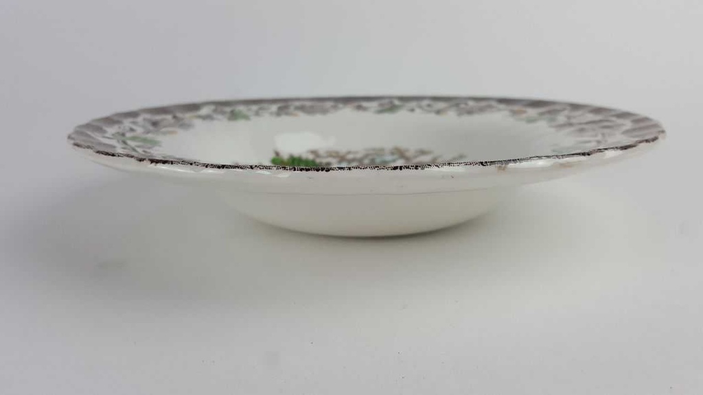[458128821] Suppenteller 22,5 cm Myott Country Life Bunt gebraucht - akzeptabel Bild 3