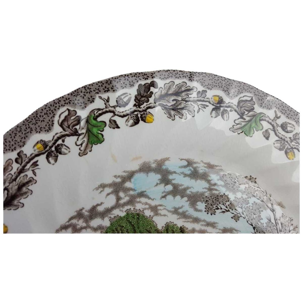 [458128823] Speiseteller Essteller 25,3 cm Myott Country Life Bunt gebraucht - akzeptabel Bild 2