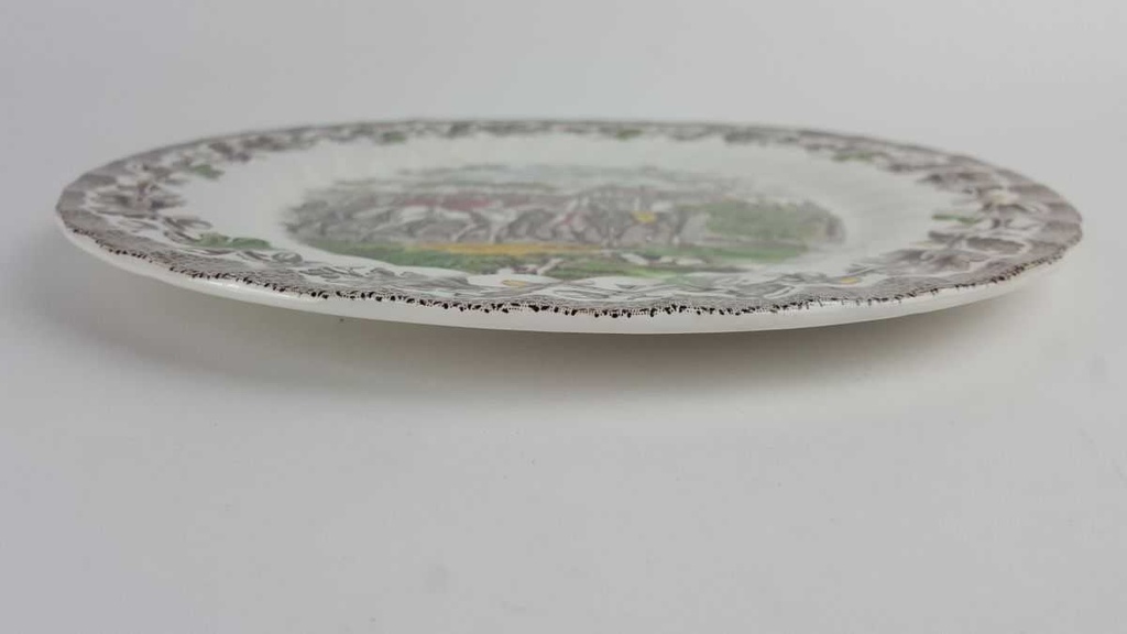 [458128823] Speiseteller Essteller 25,3 cm Myott Country Life Bunt gebraucht - akzeptabel Bild 3