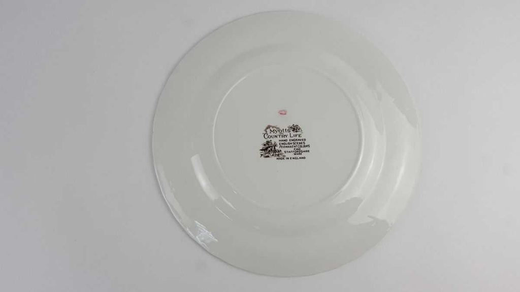[458128823] Speiseteller Essteller 25,3 cm Myott Country Life Bunt gebraucht - akzeptabel Bild 4