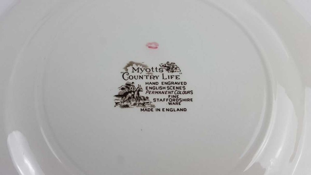 [458128823] Speiseteller Essteller 25,3 cm Myott Country Life Bunt gebraucht - akzeptabel Bild 5