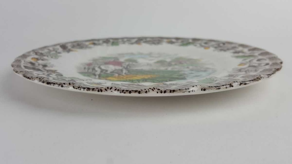 [458128826] Kuchenteller Dessertteller 20 cm Myott Country Life Bunt gebraucht - akzeptabel Bild 3