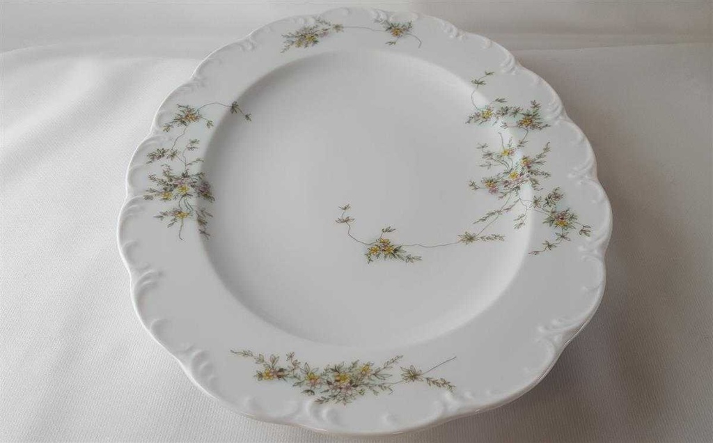 [45812957] Servierplatte Speiseplatte Fleischplatte Steakplatte 32x23,8 cm Rosenthal Monbijou grüne Ranke gebraucht - gut Bild 2