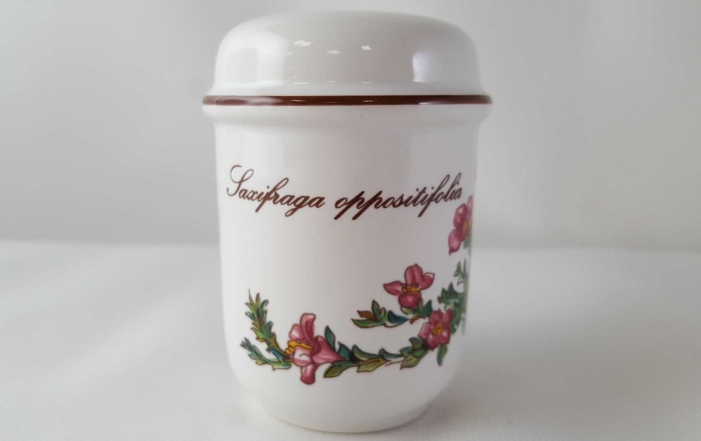 [45812971] Salzstreuer Villeroy & Boch Botanica gebraucht - sehr gut Bild 2