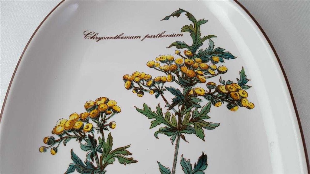 [45812973] Tablett mit Griffen Villeroy & Boch Botanica gebraucht - gut Bild 3