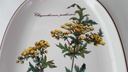 [45812973] Tablett mit Griffen Villeroy & Boch Botanica gebraucht - gut Bild 3