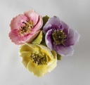 [45812987] Blumentopf Blumenbouquet Freistehend Heathcote Bone China gebraucht - gut Bild 5