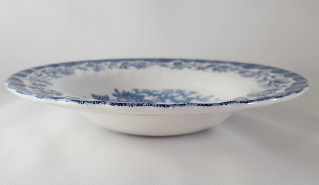 [45813015] Suppenteller 22,6 cm Myott Country Life Blau Bild 3