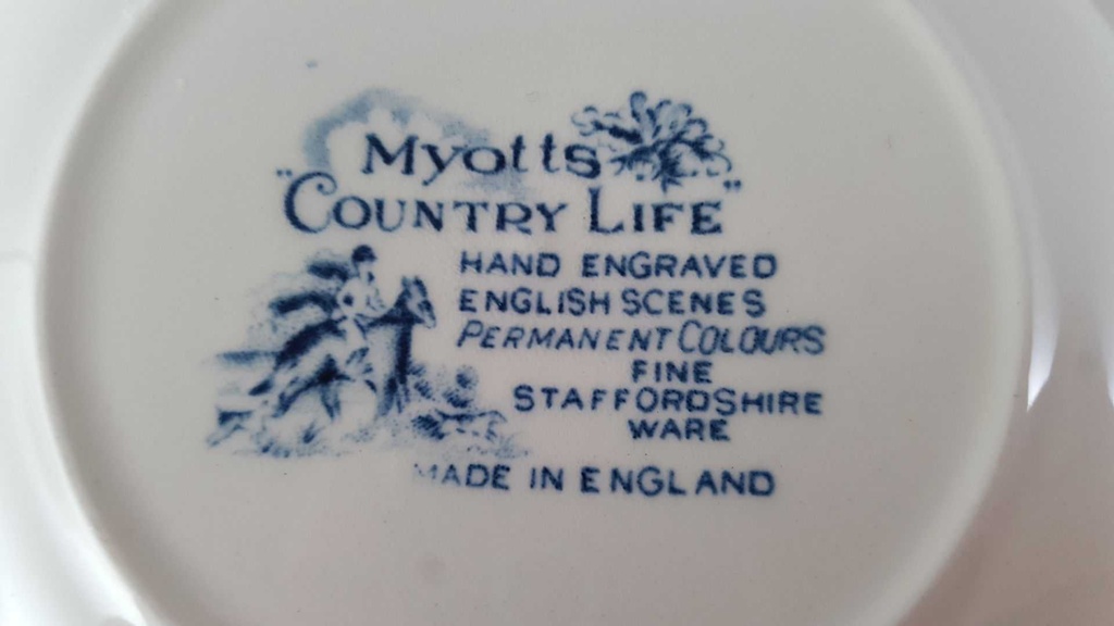 [45813015] Suppenteller 22,6 cm Myott Country Life Blau Bild 4