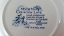 [45813015] Suppenteller 22,6 cm Myott Country Life Blau Bild 4