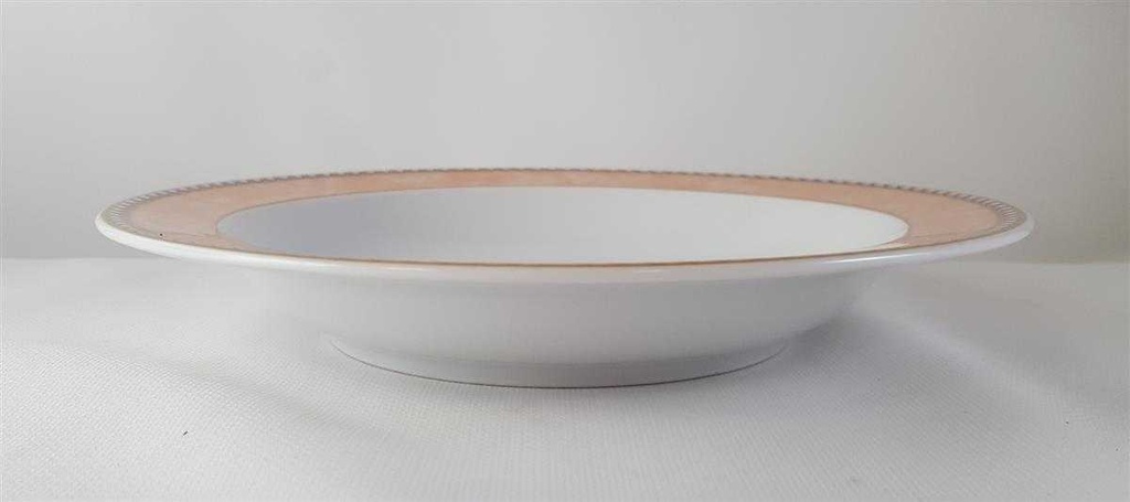 [45813226] Suppenteller 21,5 cm Retsch Wunsiedel Bunter Rand gebraucht - gut Bild 3
