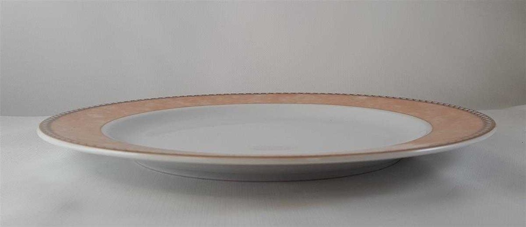 [45813231] Speiseteller Essteller 24,8 cm Retsch Wunsiedel Bunter Rand gebraucht - gut Bild 3
