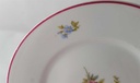 [45813268] Brotteller 16,2 cm Hutschenreuther Olivia bunte Blumen roter Rand Bild 5
