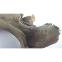 [458133173] Figur Sammelfigur mit Signatur 8 cm F.A.R.O gebraucht - gut Bild 6