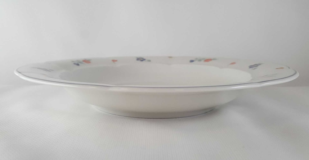 [45813365] Suppenteller 22,5 cm Mitterteich Form 2250 Stefanie Blümchen Blaurand gebraucht - neuwertig Bild 3