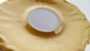 [45813489] Sammeltasse mit Untertasse Golddekor Bareuther Waldsassen gebraucht - gut Bild 4