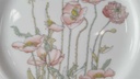 [45813731] Kuchenteller 21 cm Villeroy & Boch Gallo Secunda Roter Mohn gebraucht - gut Bild 2
