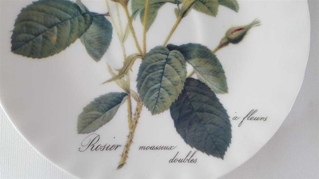 [45813817] Untertasse für Kaffee 15,1 cm Roy Kirkham Redoute Roses England gebraucht - sehr gut Bild 3