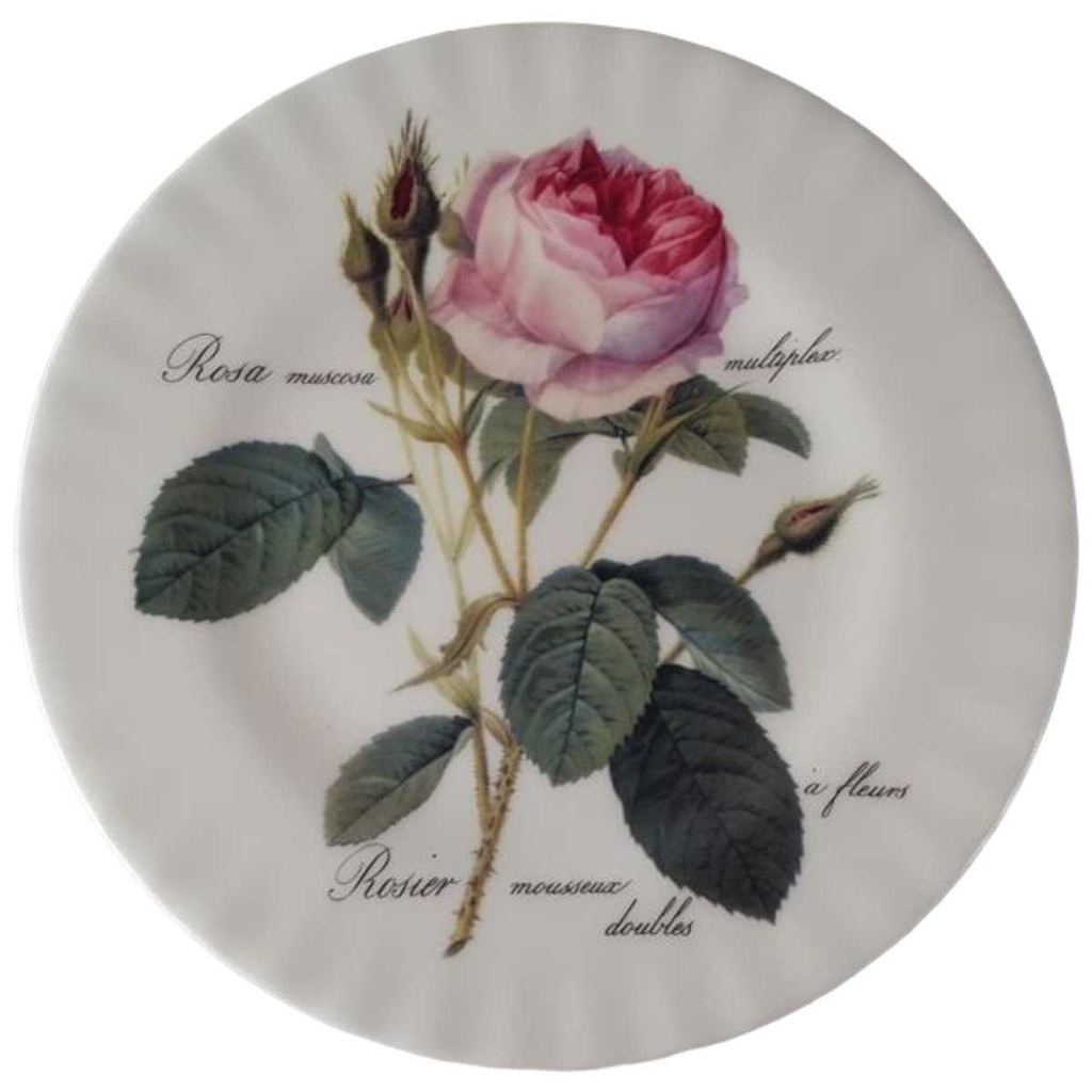 [45813818] Kuchenteller 20,7 cm Roy Kirkham Redoute Roses England gebraucht - gut Bild 2