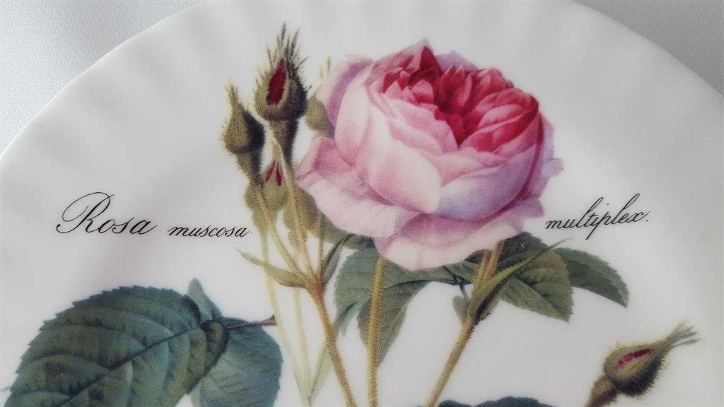 [45813818] Kuchenteller 20,7 cm Roy Kirkham Redoute Roses England gebraucht - gut Bild 4