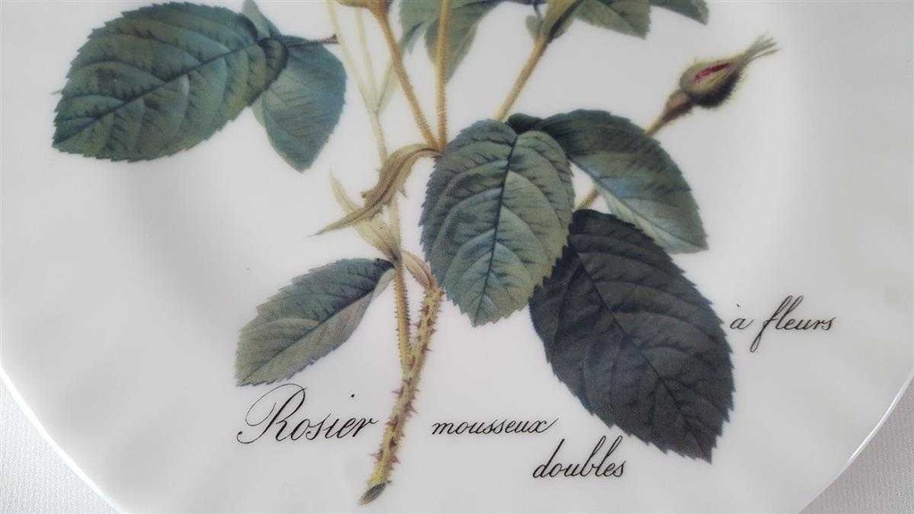 [45813818] Kuchenteller 20,7 cm Roy Kirkham Redoute Roses England gebraucht - gut Bild 5