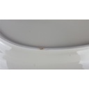 [458138602] Fleischplatte Steakplatte groß Goldrand 30 cm Edelstein Bavaria gebraucht - gut Bild 4