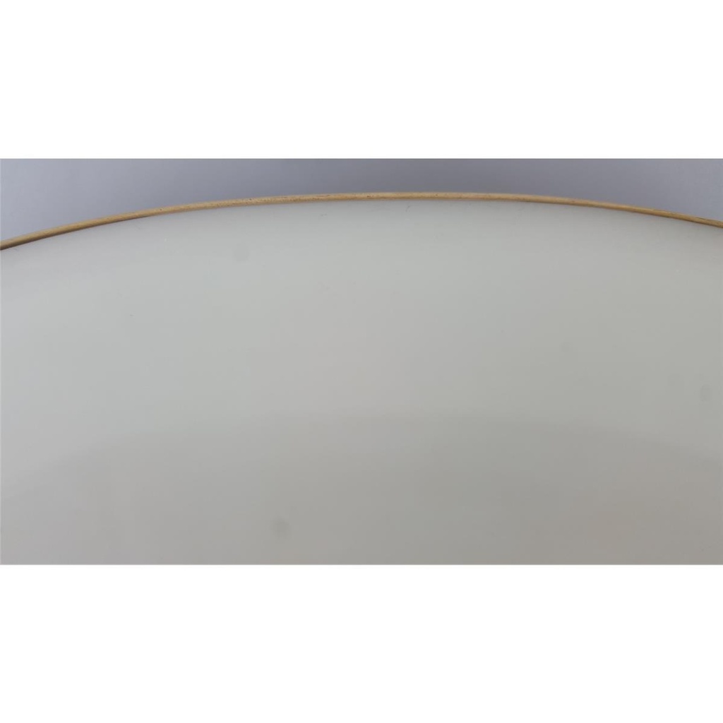 [458138614] Fleischplatte Steakplatte Goldrand Bavaria 30 cm Zeh Scherzer gebraucht - gut Bild 4