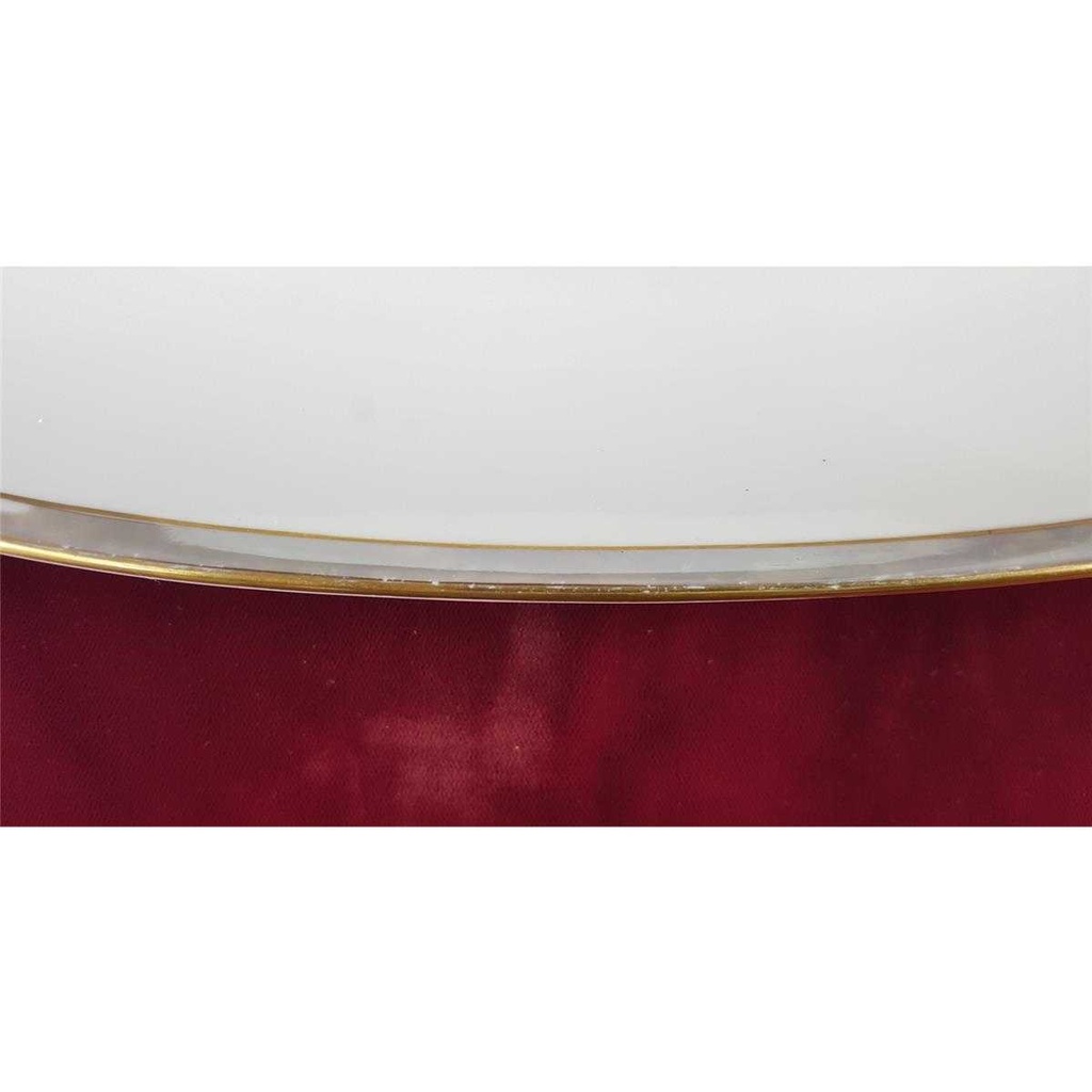 [458138623] Servierplatte Fleischplatte Goldrand 38,3x25,5 cm Edelstein Bavaria Grauband 21499 gebraucht - gut Bild 5