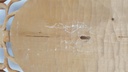 [458138987] Holz Holzschnitzerei Holzkunst Wandbild aus Mädchen mit Blume H 63,2 cm Bild 8