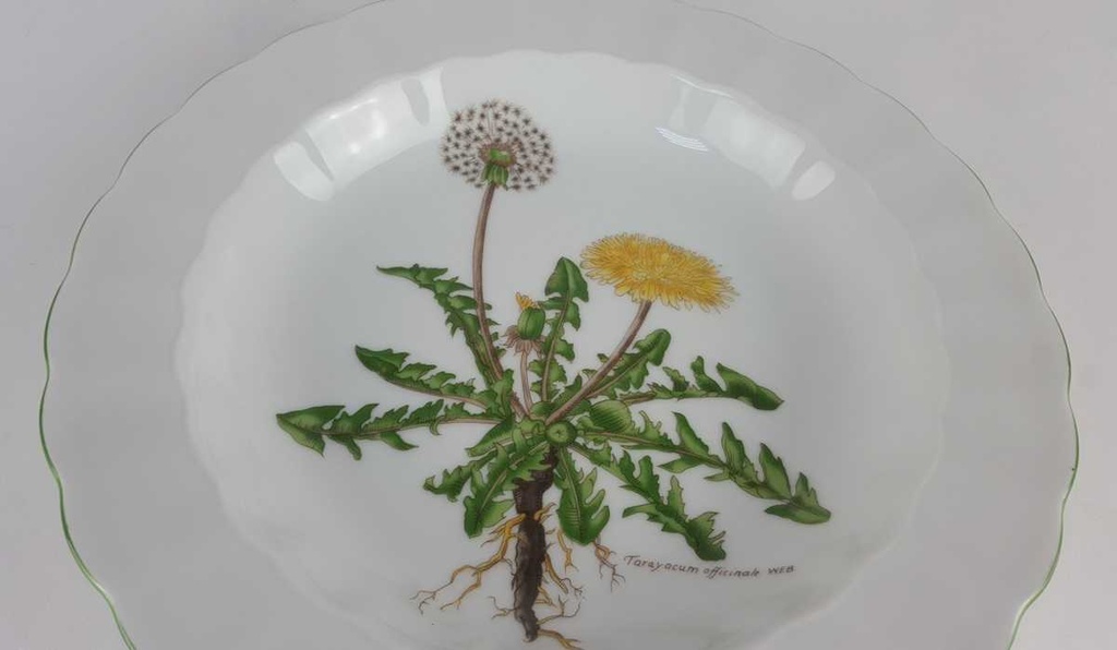 [458139036] Suppenteller Teller 21,7 cm Eschenbach Bayreuth Botanica gebraucht - gut Bild 3