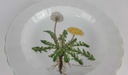[458139036] Suppenteller Teller 21,7 cm Eschenbach Bayreuth Botanica gebraucht - gut Bild 3