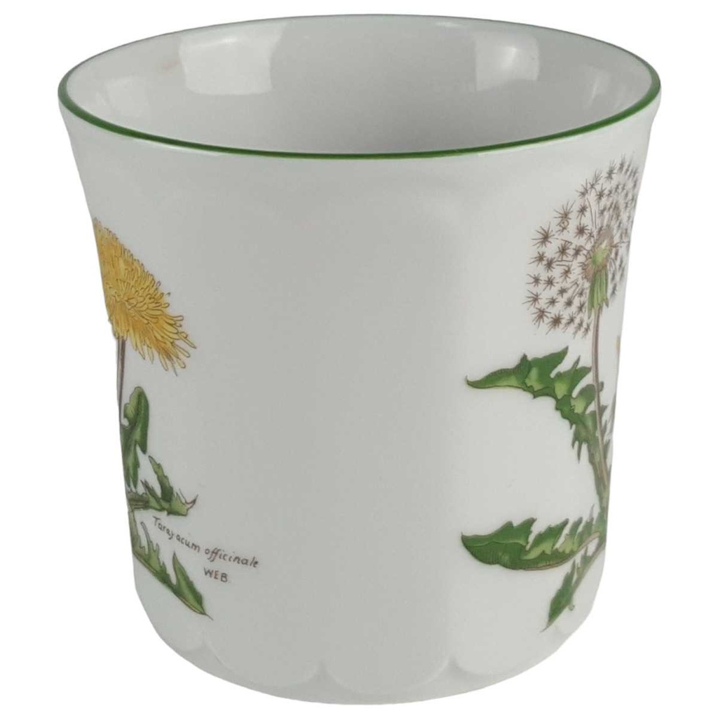 [458139038] Kaffeetasse Eschenbach Bayreuth Botanica gebraucht - gut Bild 2