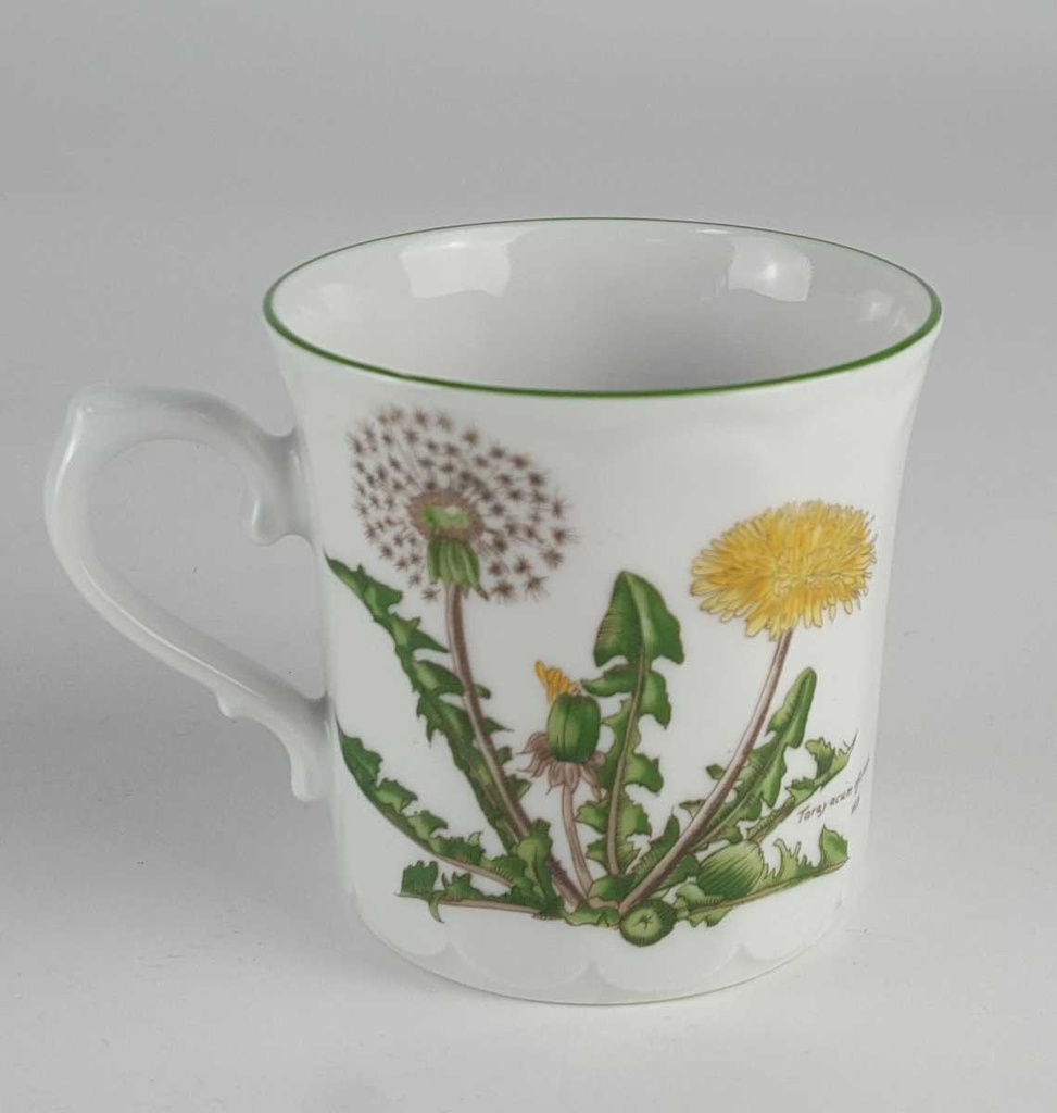 [458139038] Kaffeetasse Eschenbach Bayreuth Botanica gebraucht - gut Bild 3