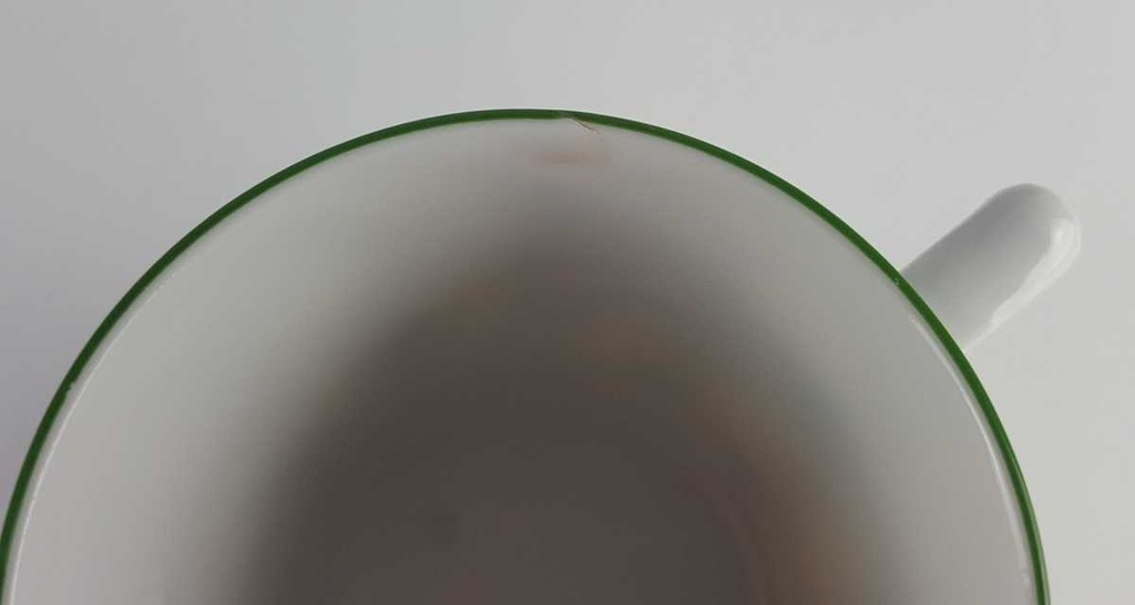 [458139038] Kaffeetasse Eschenbach Bayreuth Botanica gebraucht - gut Bild 5