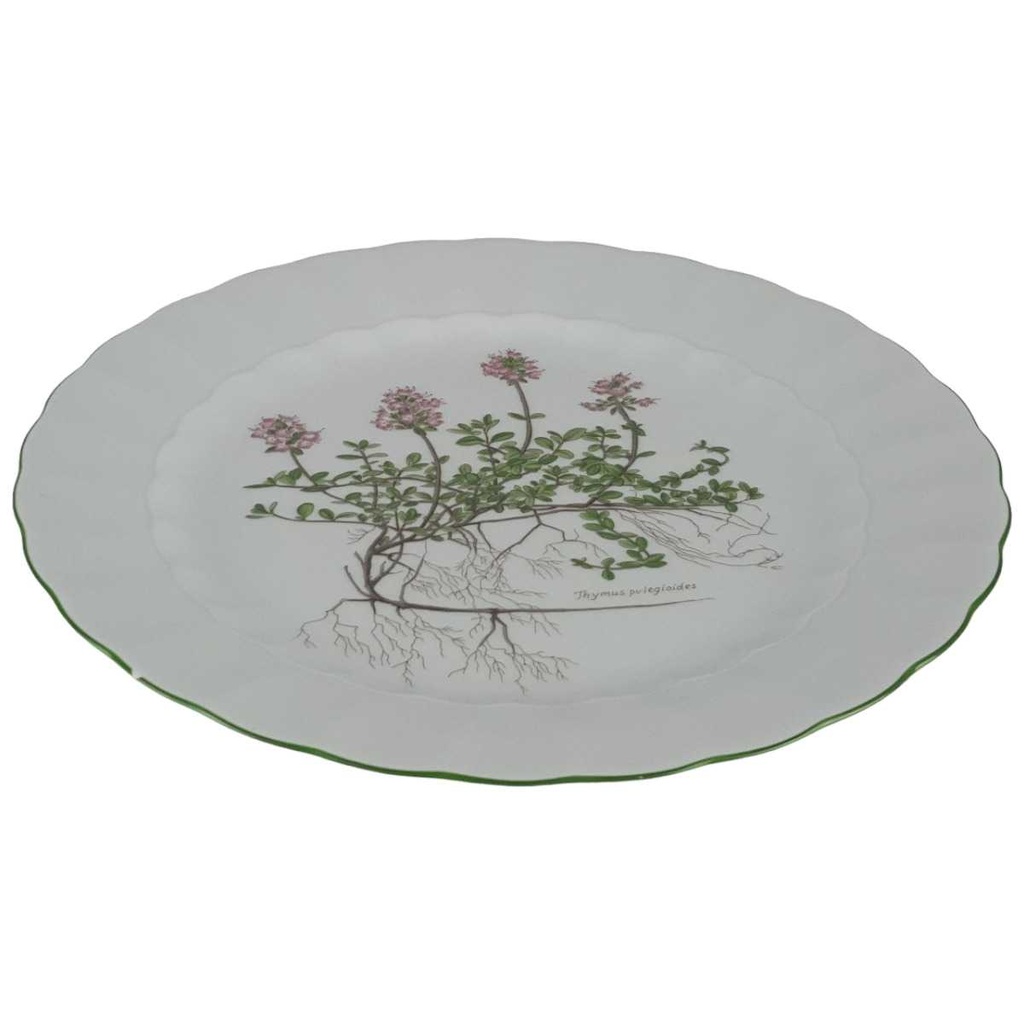 [458139042] Speiseteller Essteller 24 cm Eschenbach Bayreuth Botanica gebraucht - gut Bild 2