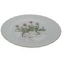[458139042] Speiseteller Essteller 24 cm Eschenbach Bayreuth Botanica gebraucht - gut Bild 2