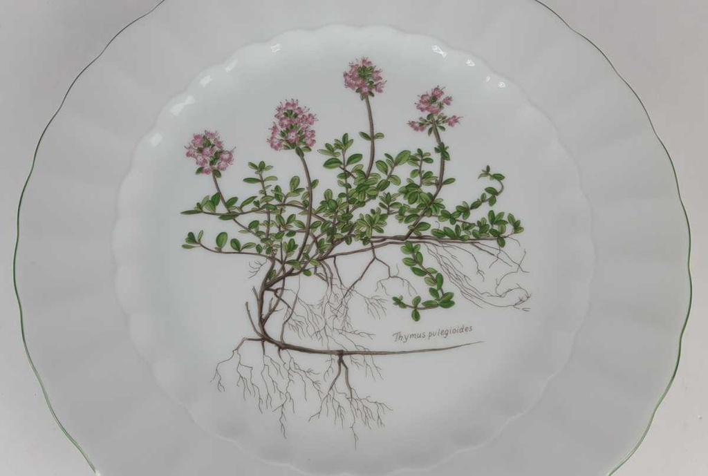 [458139042] Speiseteller Essteller 24 cm Eschenbach Bayreuth Botanica gebraucht - gut Bild 3