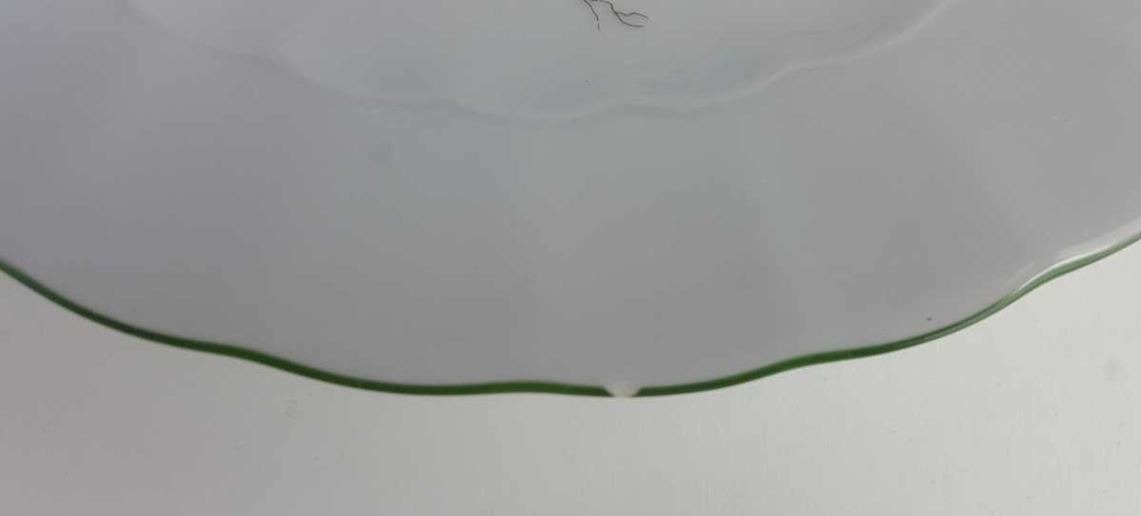 [458139042] Speiseteller Essteller 24 cm Eschenbach Bayreuth Botanica gebraucht - gut Bild 5