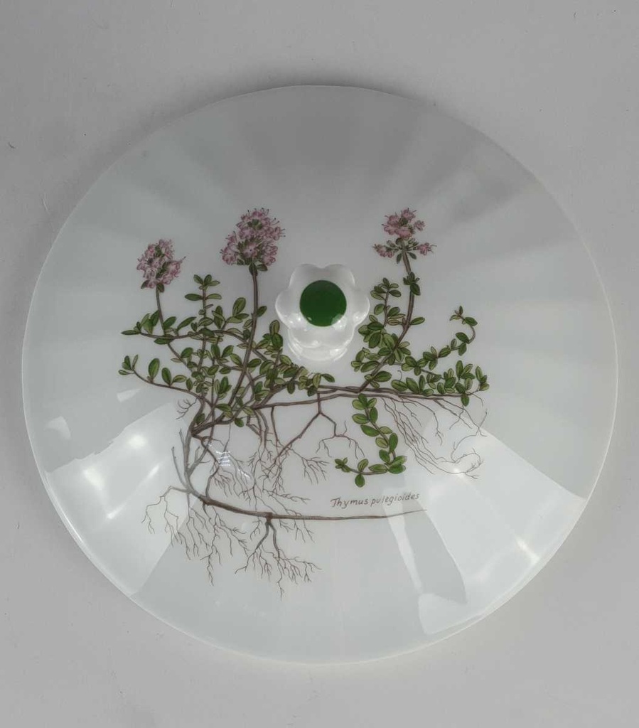 [458139047] Ragoutterrine Terrine 1,6 L Eschenbach Bayreuth Botanica gebraucht - gut Bild 5